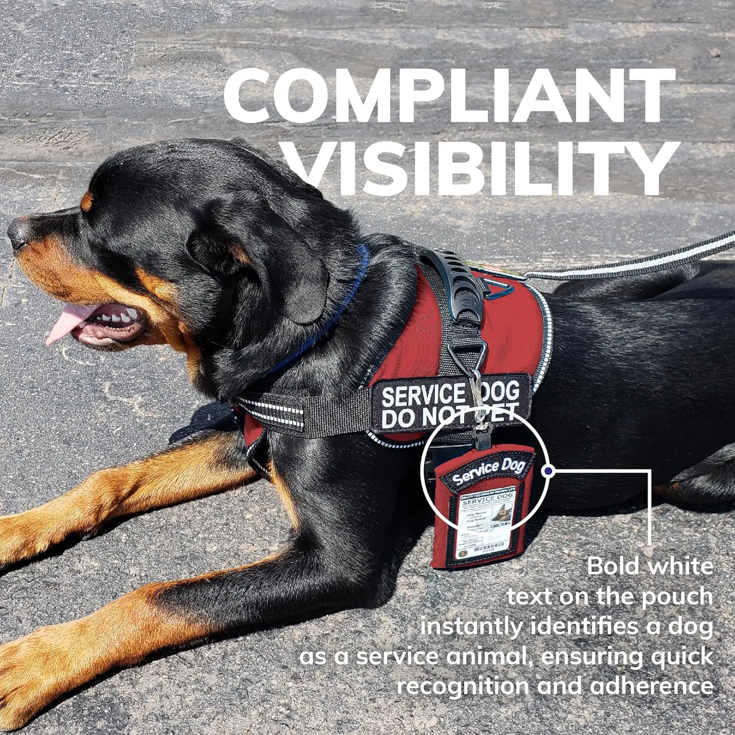 ActiveDogs Service Dog ID Card Pouch - Clip On Identification Badge Display Tag Holder & Carrier with Zippered Pocket for Small Bag Items - Made in USA, 5" x 4", Black