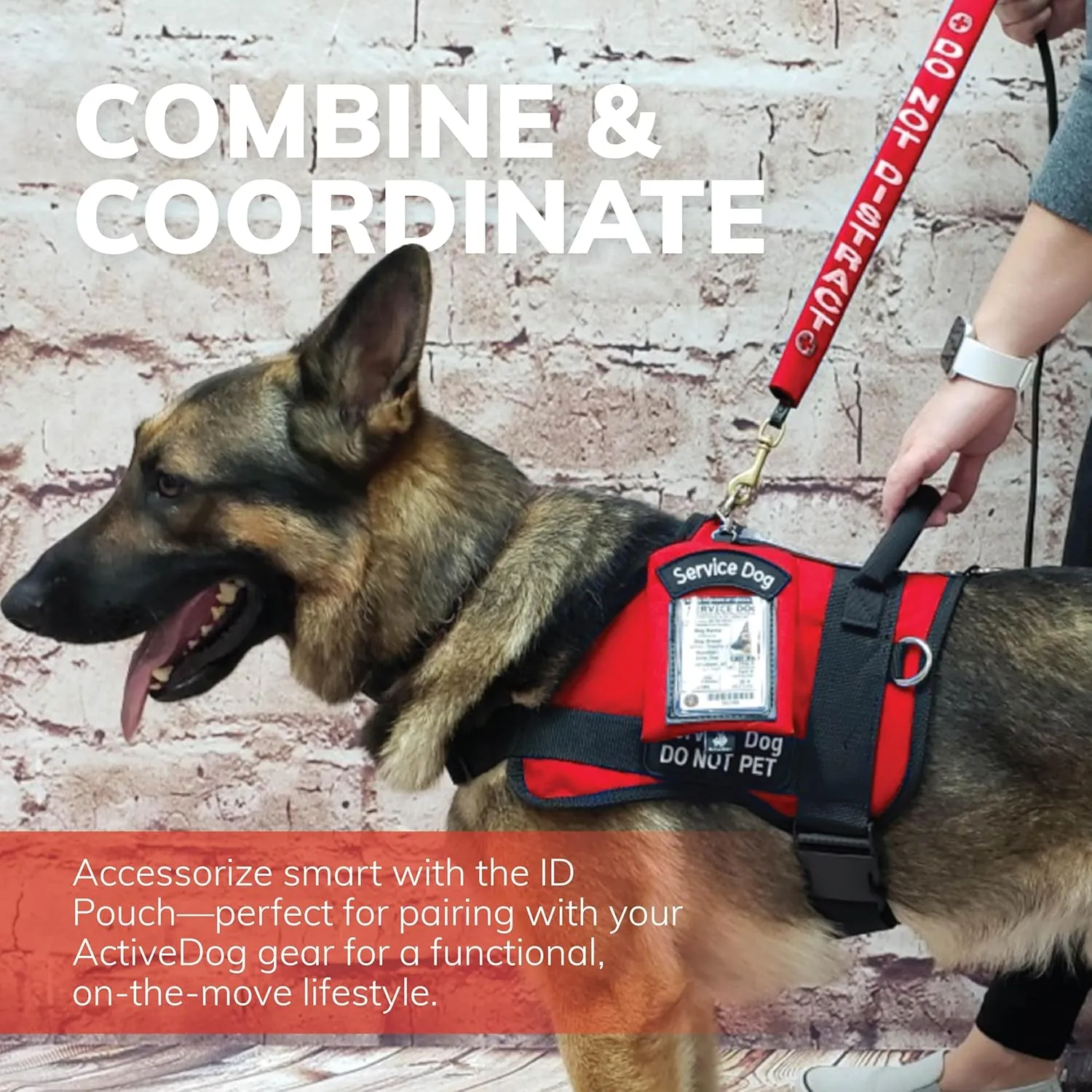 ActiveDogs Service Dog ID Card Pouch - Clip On Identification Badge Display Tag Holder & Carrier with Zippered Pocket for Small Bag Items - Made in USA, 5" x 4", Black