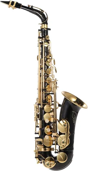 Eb Alto Saxophone Brass Lacquered Gold E Flat Sax 82Z Key Type Woodwind Instrument with Cleaning Brush Cloth Gloves Strap Padded Case