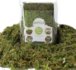 Fake Moss, 8 OZ Green Moss for Potted Plants, Artificial Moss for DIY Crafts Home Decor Table Centerpieces Wedding Decoration (Fresh Green 225gr)