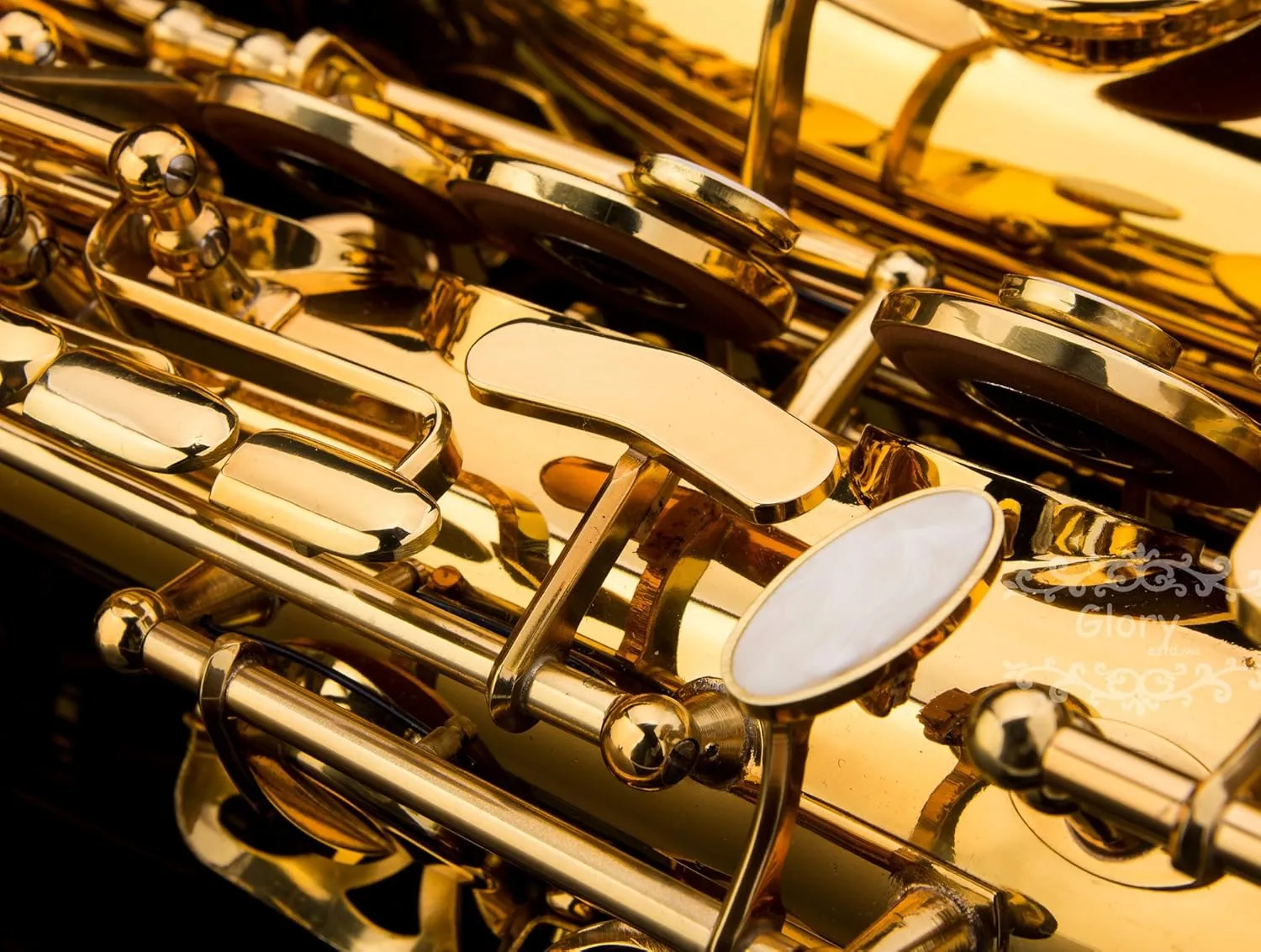 Glory Gold Laquer E Flat Alto Saxophone with 11reeds,8 Pads cushions,case,carekit