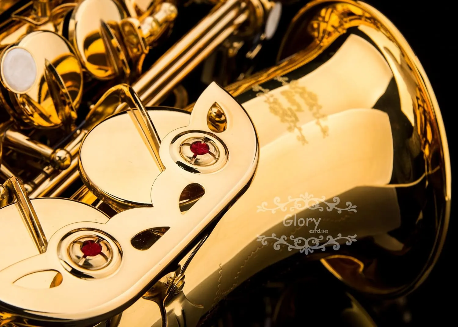 Glory Gold Laquer E Flat Alto Saxophone with 11reeds,8 Pads cushions,case,carekit