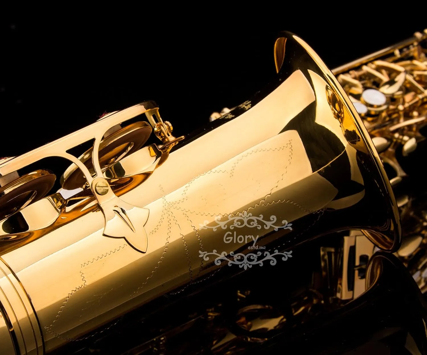 Glory Gold Laquer E Flat Alto Saxophone with 11reeds,8 Pads cushions,case,carekit