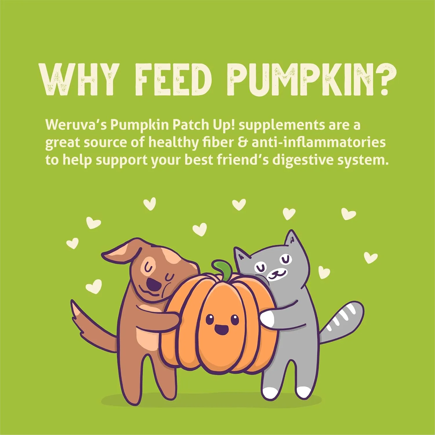 Weruva Pumpkin Patch Up!, Pumpkin Puree Pet Food Supplement for Dogs & Cats, 2.80oz Pouch (Pack of 12)